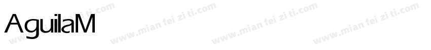 Aguila Medium字体转换